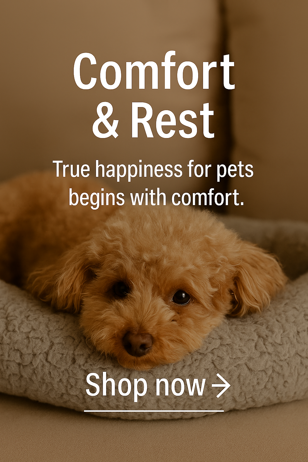 Pet Houses & Condos