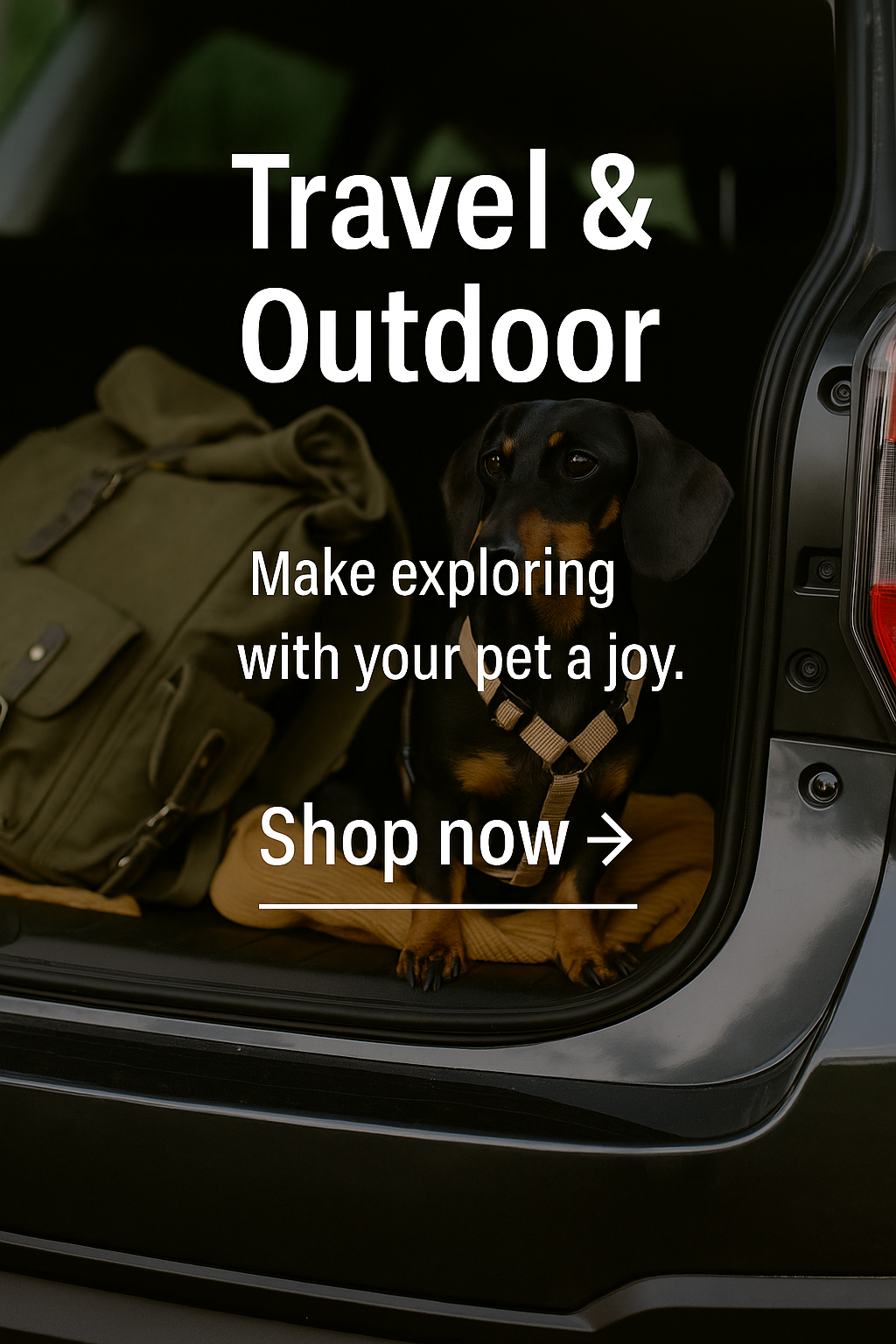 👜Carriers & Travel Gear